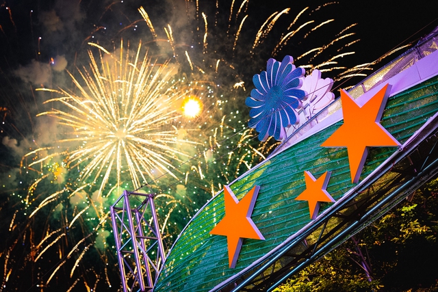 Rực rỡ pháo hoa trên bầu trời TP.HCM đêm 30/4 - áº¢nh 11.