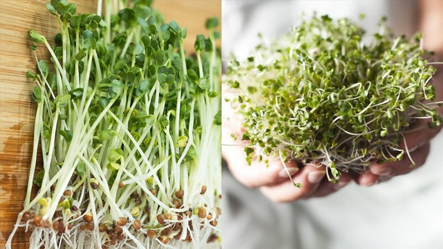 Nam thanh ni&ecirc;n 28 tuổi giảm 30% chỉ số vi&ecirc;m gan chỉ sau 4 tuần: Nhờ mầm 1 loại rau chợ Việt b&aacute;n đầy - Ảnh 3.