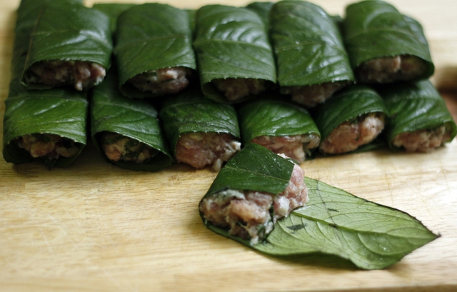 Lời khuy&ecirc;n d&agrave;nh cho những gia đ&igrave;nh đang trồng c&acirc;y xương s&ocirc;ng - Ảnh 2.
