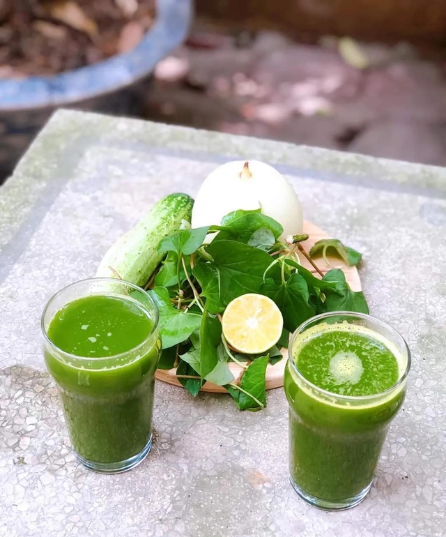 Việt Nam có 1 loại lá là "kem chống nắng tự nhiên", giúp tóc đen và mọc nhanh hơn, cực tốt sức khỏe nhưng nhiều người không dám dùng - Ảnh 3.
