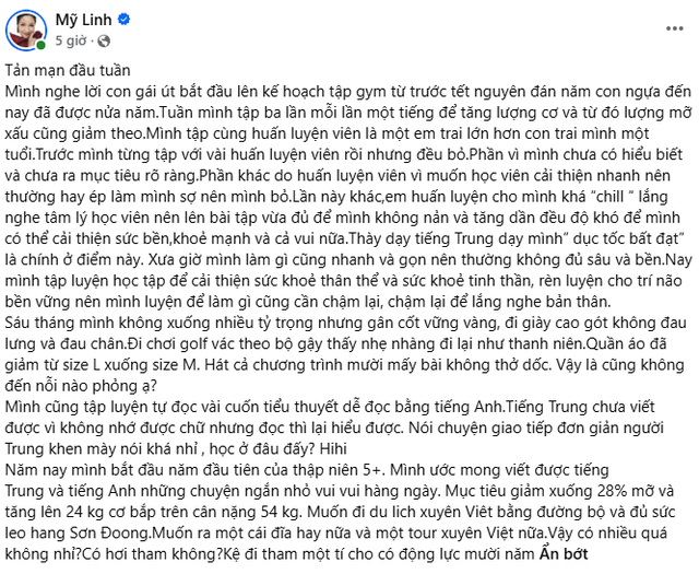 Tình hình hiện tại của Diva Mỹ Linh - Ảnh 2.