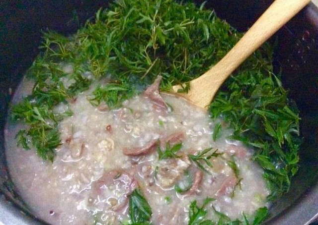 Tin vui cho những người thích ăn lá đinh lăng! - Ảnh 3.