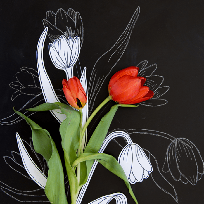 Tranh Vẽ Vườn Hoa Tulip Màu Đỏ Hồng