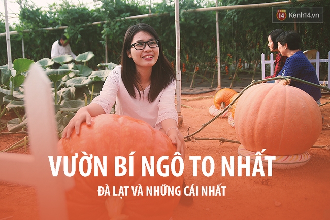 Đà Lạt - nơi mà bạn chẳng thể ngờ có vô vàn những cái nhất - Ảnh 28.