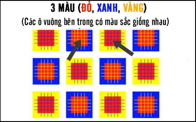 Bạn nhìn thấy bao nhiêu màu trong bức hình này? - Ảnh 3.