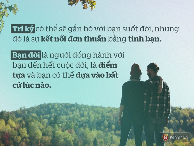 Có khác không, bạn đời và tri kỷ? - Ảnh 1.