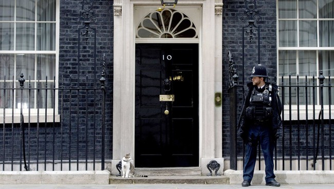 Con mèo ở dinh Thủ tướng Anh tiếp tục nhiệm kỳ mới sau khi ông Cameron rời đi - Ảnh 7.