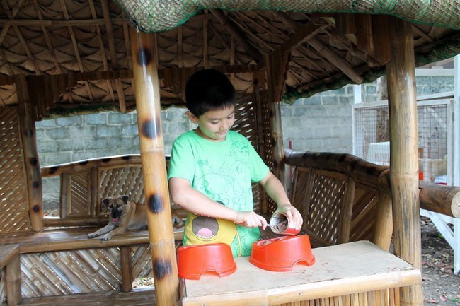 Cậu b&eacute; t&igrave;m thấy 6 ch&uacute; chuột lớn sau nh&agrave; thờ, 1 năm sau điều bất ngờ đ&atilde; xảy ra - Ảnh 1.
