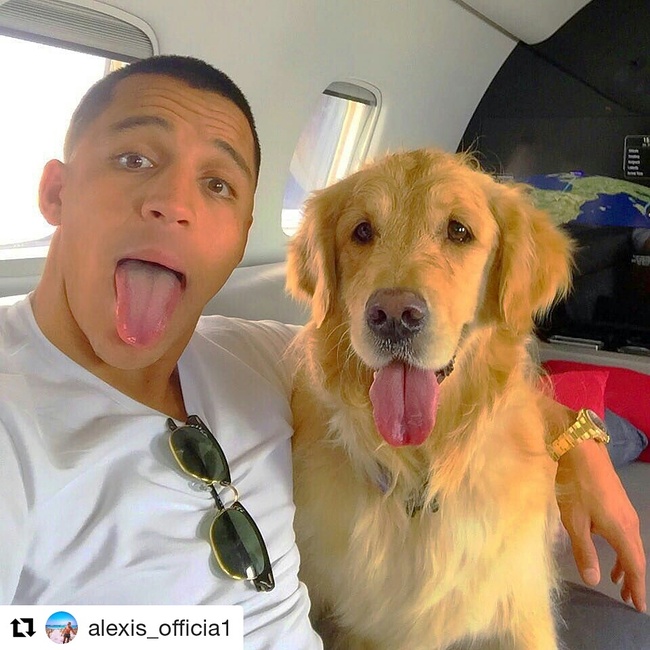 Tài khoản Instagram của bạn chưa chắc đã hot bằng 2 chú chó nhà Alexis Sanchez - Ảnh 4.