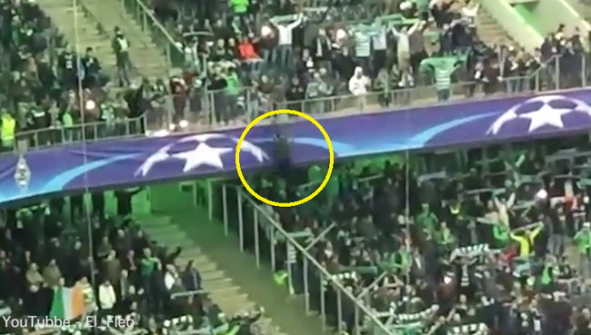 Trèo leo như người nhện trên khán đài, fan Celtic gặp cái kết cay đắng - Ảnh 2.