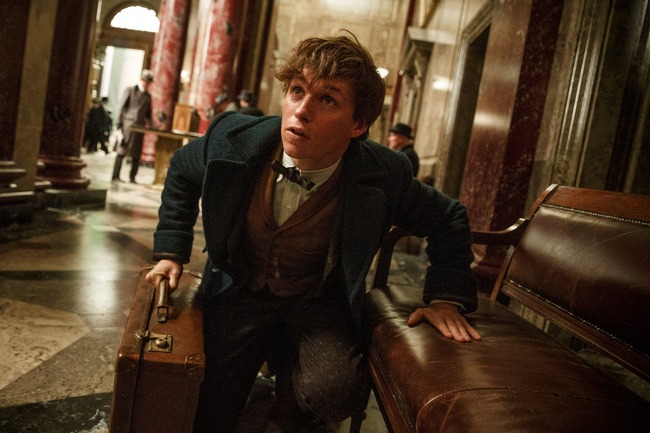 Những lý do không nên bỏ lỡ siêu phẩm Fantastic Beasts and Where to Find Them - Ảnh 2.