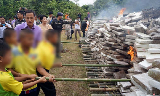 Thái Lan: Điều động học sinh đi đốt 8 tấn cần sa - Ảnh 1.