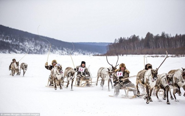 Theo chân những người thợ săn ở Siberia đi lột da chó sói - Ảnh 10.