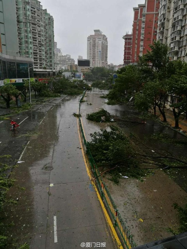 Những cảnh tượng kinh hoàng khi siêu bão mạnh nhất thế giới đổ bộ Trung Quốc đại lục - Ảnh 13.