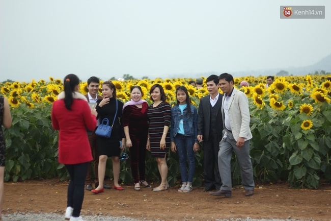 H&agrave;ng vạn người đổ về c&aacute;nh đồng hoa hướng dương: Từng đo&agrave;n xe nối d&agrave;i cả c&acirc;y số, di chuyển từng ch&uacute;t một - Ảnh 13.