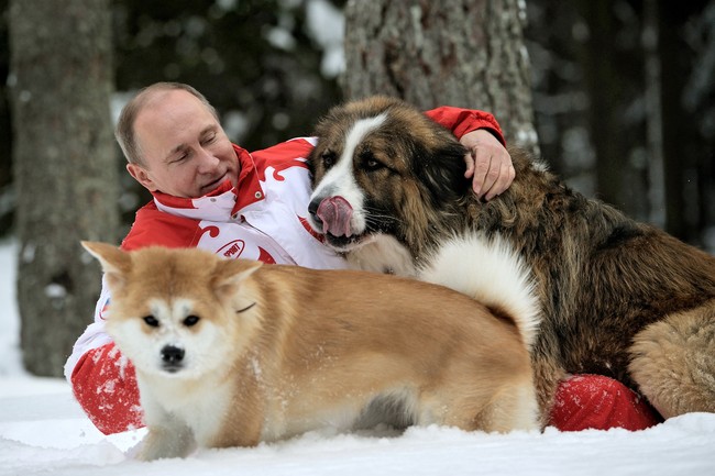 Cuộc hội ngộ đầy niềm vui của 2 nhà báo Nhật với Yume - chú chó Akita mà Nhật Bản dành tặng Tổng thống Putin - Ảnh 2.