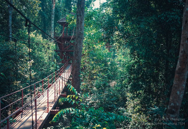 Đừng chỉ biết tới Bangkok, ở Thái còn có 1 chốn thiên đường là Trang Province! - Ảnh 24.