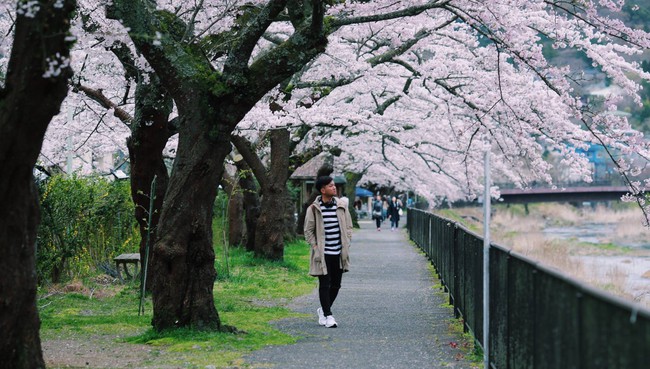Nhất định phải đến Nhật Bản một lần, vào mùa hoa anh đào... - Ảnh 26.