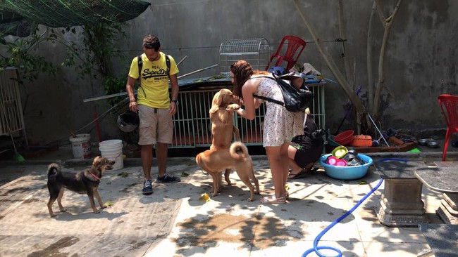 Trạm cứu hộ chó mèo ở Đà Nẵng bị tố cáo bán thú cưng vào lò mổ để lấy tiền - Ảnh 6.
