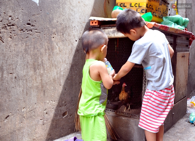 Mẹ bỏ đi, bà nội và bố lo nuôi 11 anh em chen chúc trong căn nhà chật hẹp ở Sài Gòn - Ảnh 13.