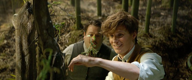 Eddie Redmayne: Chú tắc kè luôn kiếm tìm sự thay đổi - Ảnh 13.