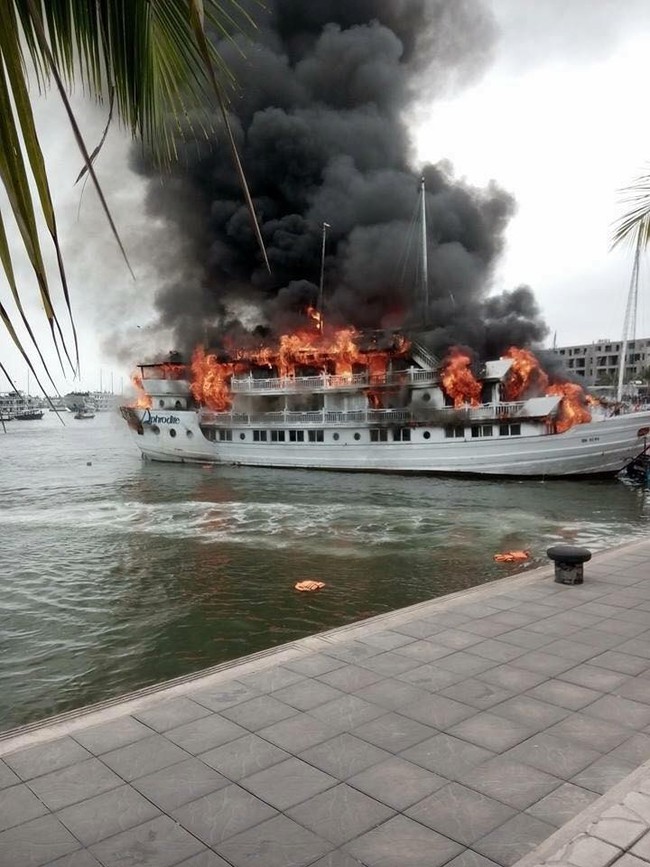 Tàu du lịch bốc cháy dữ dội ở Tuần Châu, nhiều người nhảy xuống biển - Ảnh 4.