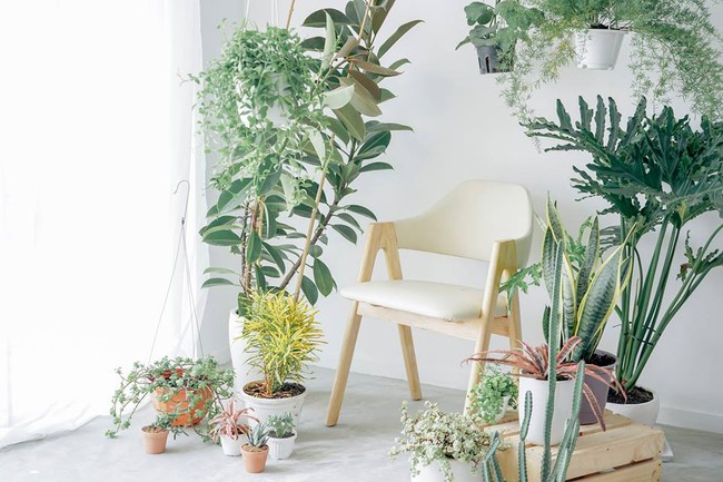Muốn c&oacute; ảnh đẹp, chất, xịn như tạp ch&iacute;? H&atilde;y đến ngay 4 studio xinh xắn n&agrave;y ở S&agrave;i G&ograve;n - Ảnh 15.