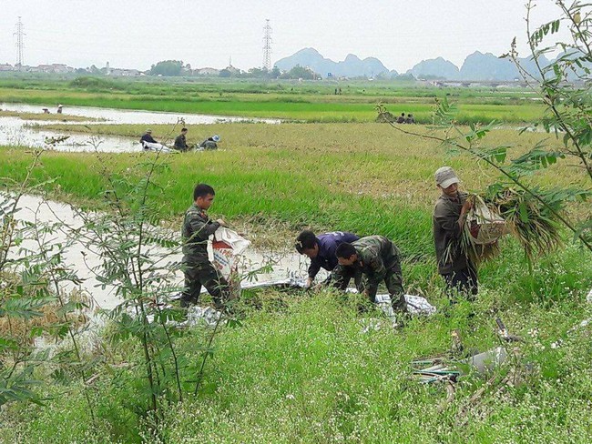 Hình ảnh đẹp: Khi những người chiến sĩ lội bùn, xuống đồng gặt lúa giúp dân - Ảnh 6.