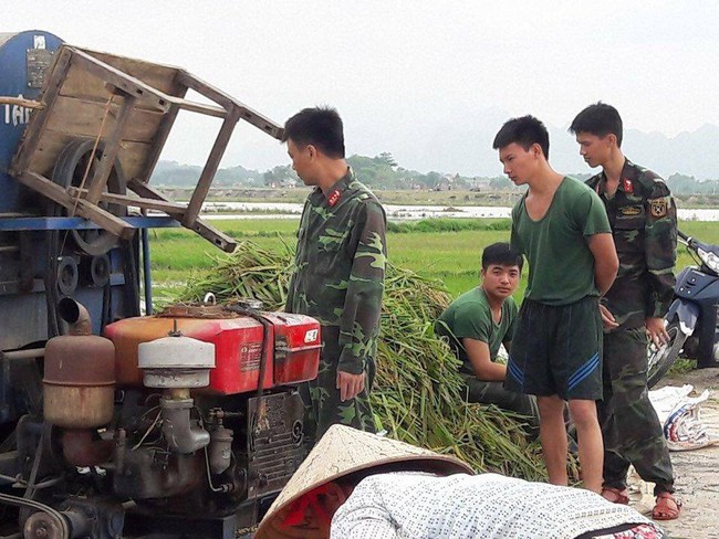 H&igrave;nh ảnh đẹp: Khi những người chiến sĩ lội b&ugrave;n, xuống đồng gặt l&uacute;a gi&uacute;p d&acirc;n - Ảnh 3.