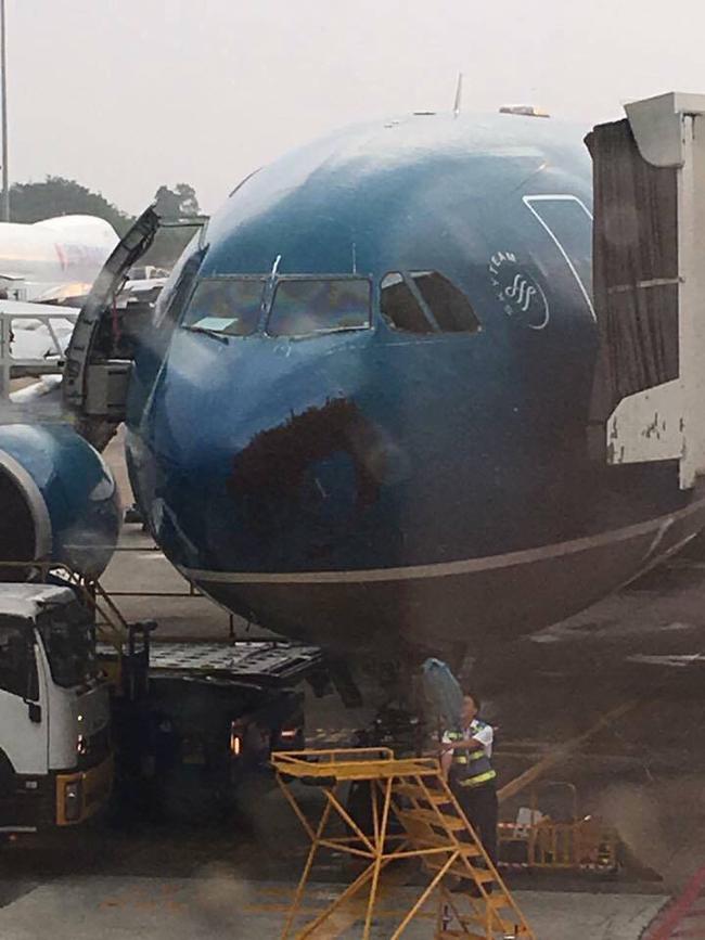 B&acirc;̀y ong bám đen đặc đ&acirc;̀u máy bay Airbus 330 của Vietnam Airlines - Ảnh 1.