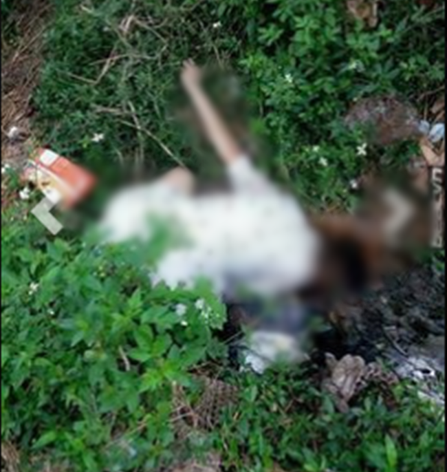Bắc Giang: B&agrave;ng ho&agrave;ng ph&aacute;t hiện thi thể c&ocirc; g&aacute;i trẻ ngo&agrave;i c&aacute;nh đồng - Ảnh 2.