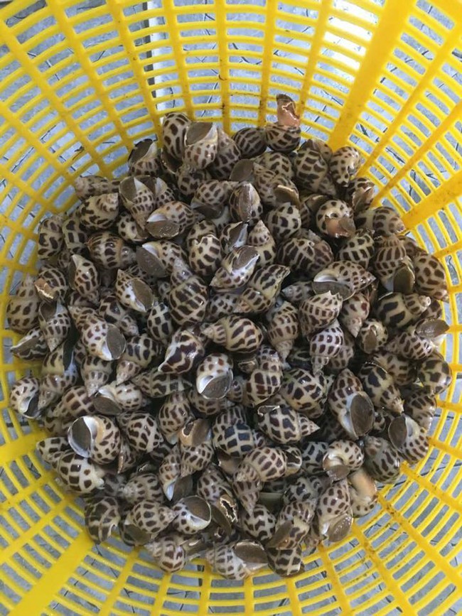 N&ocirc;̀i l&acirc;̉u hải sản gần 50 tri&ecirc;̣u dài 2 mét g&acirc;y s&ocirc;́t ở Cà Mau - Ảnh 4.