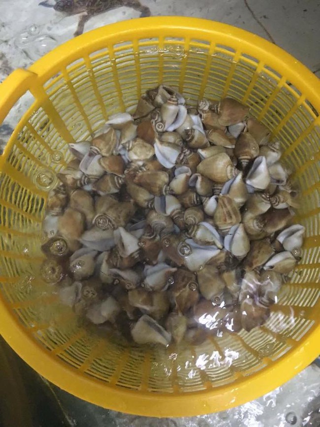 N&ocirc;̀i l&acirc;̉u hải sản gần 50 tri&ecirc;̣u dài 2 mét g&acirc;y s&ocirc;́t ở Cà Mau - Ảnh 5.