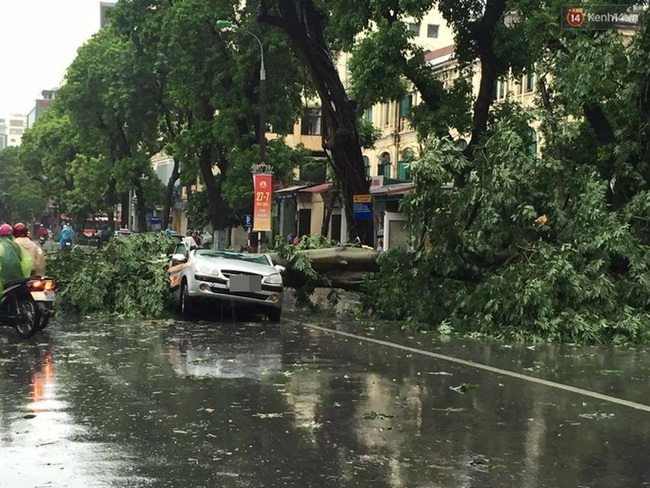 Hà Nội: Một người chết, 5 người bị thương do bão số 1 - Ảnh 22.