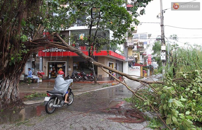 Thái Bình mất điện toàn tỉnh, đường sá tan hoang sau cơn bão số 1 - Ảnh 1.