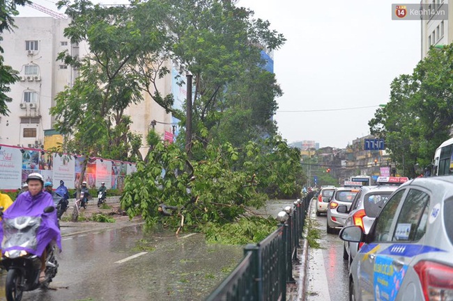 Hà Nội: Bất chấp nguy hiểm, gió to, người dân lao vào cứu 2 phụ nữ bị cây đè do bão - Ảnh 4.