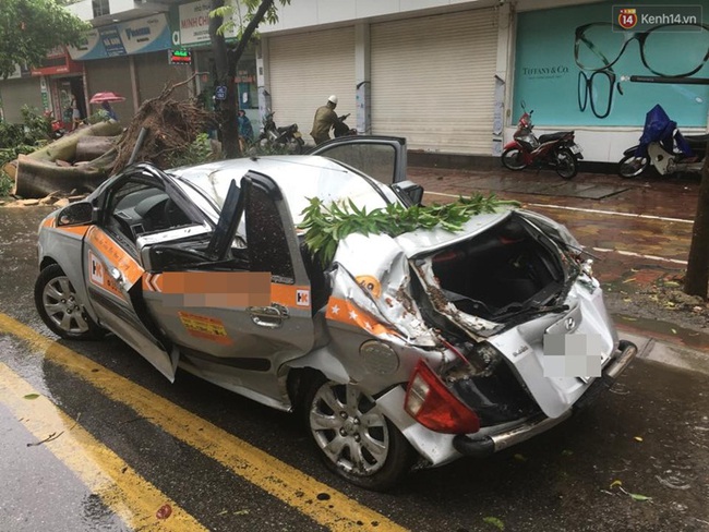 H&agrave;ng chục &ocirc; t&ocirc; ở H&agrave; Nội bị c&acirc;y đ&egrave; n&aacute;t b&eacute;t trong b&atilde;o số 1 - Ảnh 4.