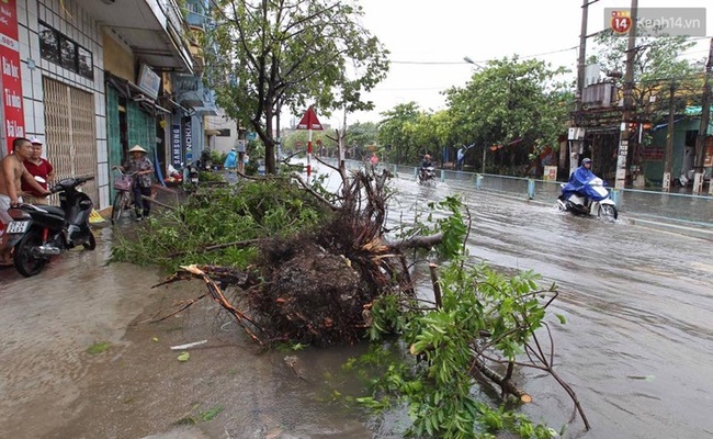 Thái Bình mất điện toàn tỉnh, đường sá tan hoang sau cơn bão số 1 - Ảnh 5.
