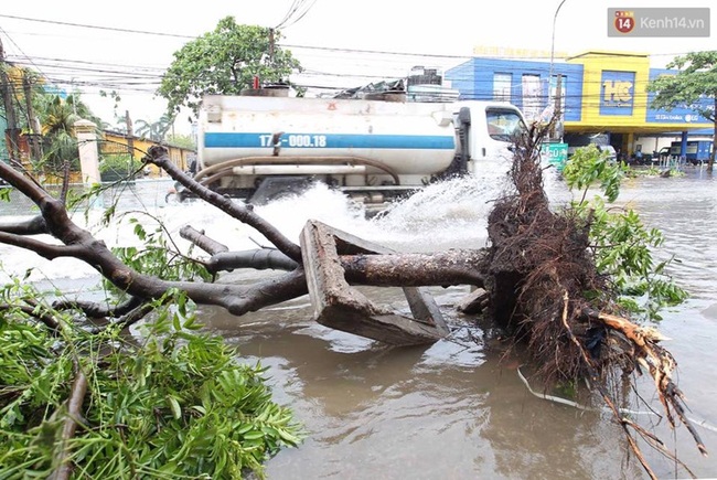 Thái Bình mất điện toàn tỉnh, đường sá tan hoang sau cơn bão số 1 - Ảnh 7.