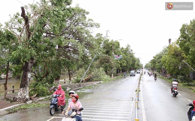 Thái Bình mất điện toàn tỉnh, đường sá tan hoang sau cơn bão số 1 - Ảnh 9.