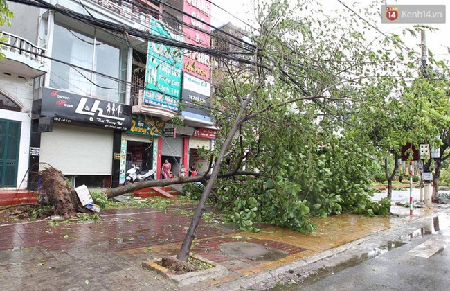 Thái Bình mất điện toàn tỉnh, đường sá tan hoang sau cơn bão số 1 - Ảnh 8.