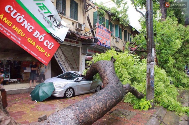 Hàng chục ô tô ở Hà Nội bị cây đè nát bét trong bão số 1 - Ảnh 11.