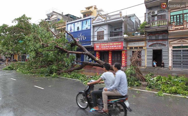 Thái Bình mất điện toàn tỉnh, đường sá tan hoang sau cơn bão số 1 - Ảnh 11.