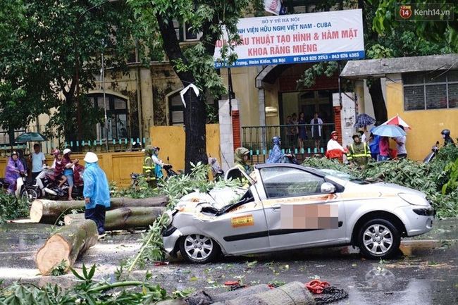 Hàng chục ô tô ở Hà Nội bị cây đè nát bét trong bão số 1 - Ảnh 3.