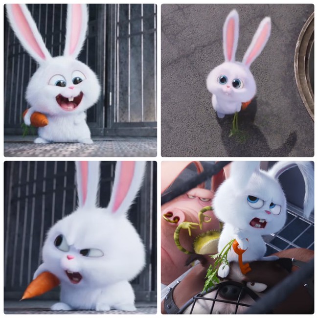 Avatar thỏ cute: Năm 2024, hình ảnh Avatar thỏ cute đem đến cảm giác thoải mái và vui nhộn cho bạn. Hãy đắm chìm trong những cảnh đẹp và hài hước của thế giới ảo này.