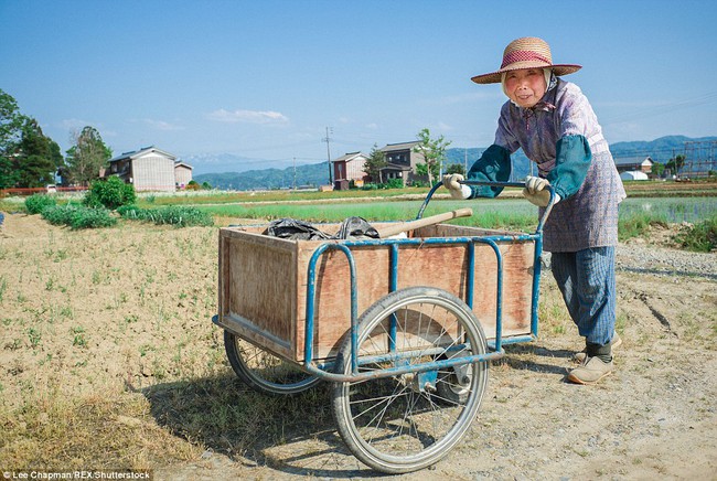 Chùm ảnh cho thấy tinh thần làm việc đáng khâm phục của người cao tuổi Nhật Bản - Ảnh 15.