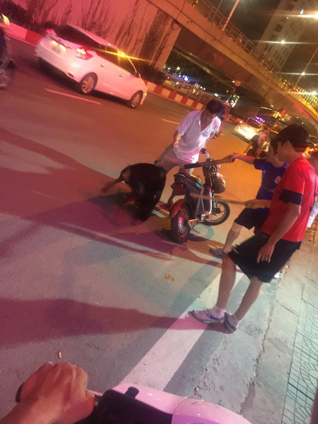 Clip: Người chủ ôm chú chó Doberman bị trọng thương gào thét giữa đường phố Hà Nội - Ảnh 4.