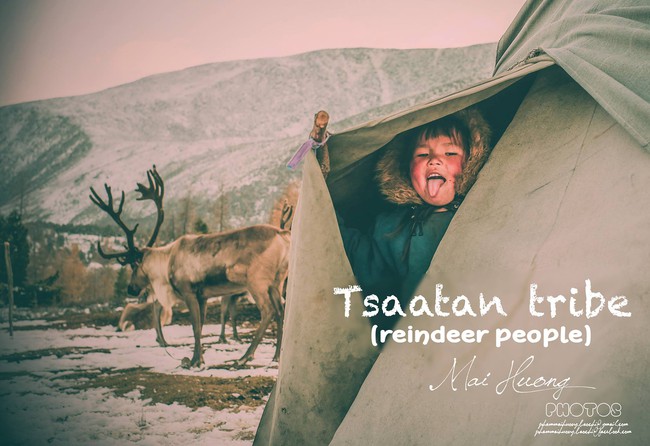 Một bộ ảnh không thể đẹp và cảm xúc hơn về chuyến hành trình tới bộ lạc tuần lộc cuối cùng ở Mông Cổ! - Ảnh 1.