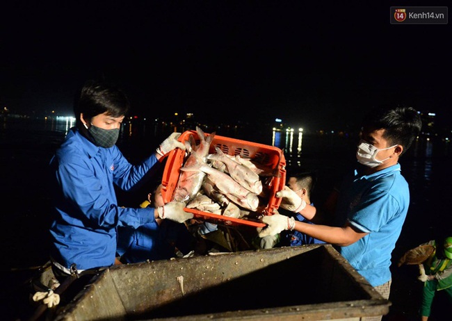 Hà Nội: Trắng đêm khắc phục hậu quả cá chết trắng ven hồ Tây - Ảnh 6.