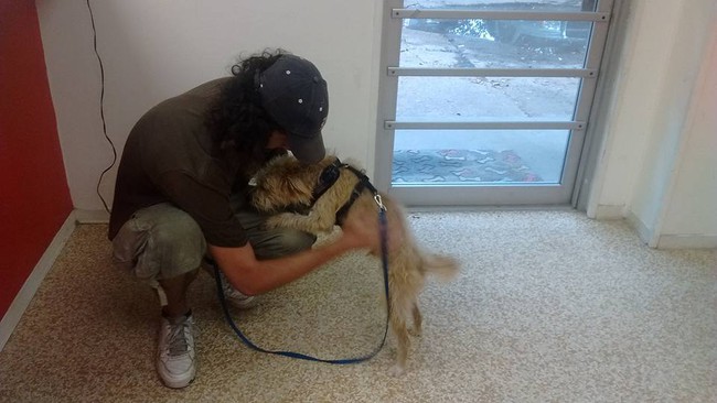Cái kết viên mãn của người đàn ông vô gia cư xin tiền chuộc chó ra khỏi trung tâm động vật - Ảnh 4.